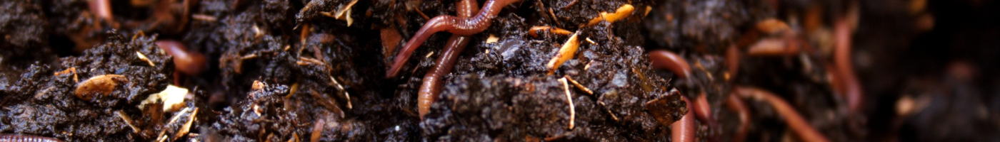 vermicomposting