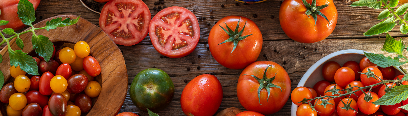 Raised Bed Vs. In-Ground Vegetable Gardening