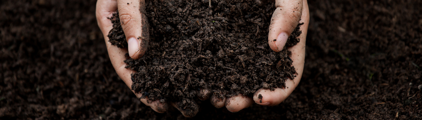 Compost to Soil Ratios